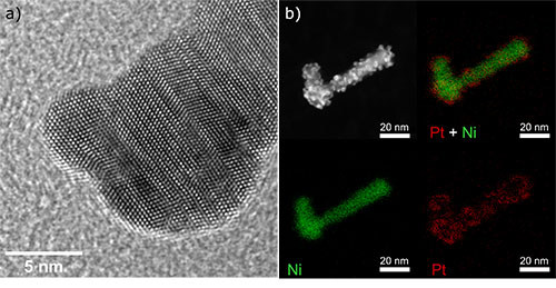 nanoparticle image plus EDS data