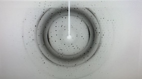 Crystal diffraction collected at room temperature in situ