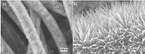 Zinc oxide nanowires