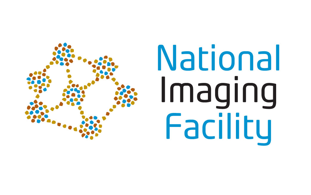 NIF logo LG