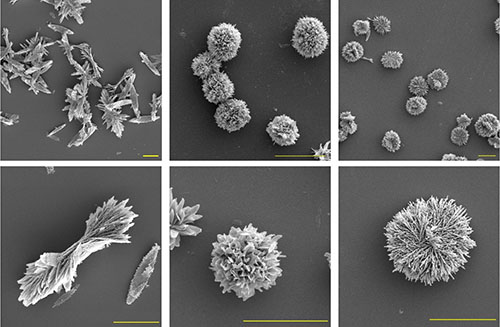 Zinc oxide nanoparticles