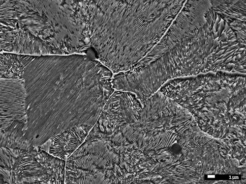 Iron carbide SEM