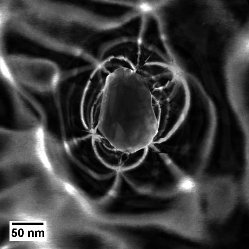 Gold particle on gold nano-sheet