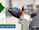 Biomedical Imaging Facility