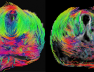 Biological Resources Imaging Laboratory