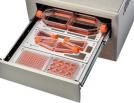 IncuCyte FLR