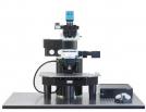 Lavision TriM Scope II Multiphoton Intravital