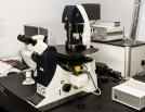 Leica TCS SP5 MP STED