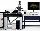 Leica TCS SP5 WLL STED