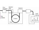 Gas Chromatography