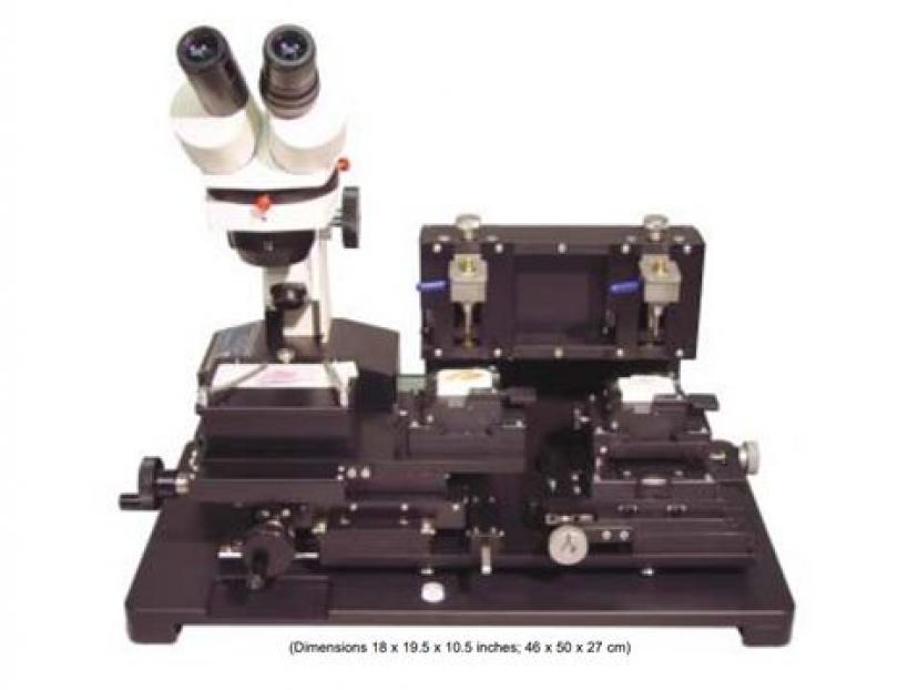 Chemicon image
