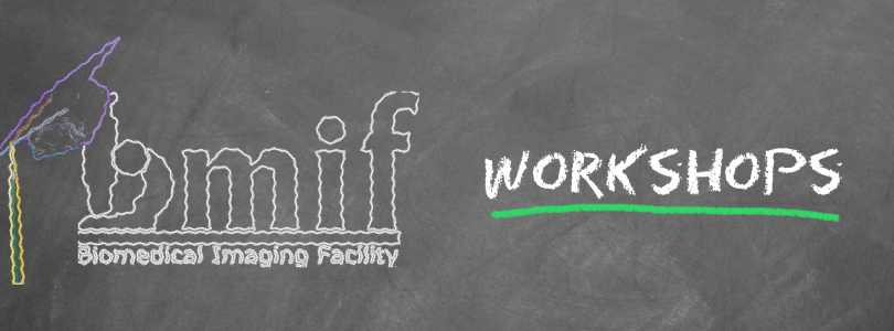 BMIF - Workshops
