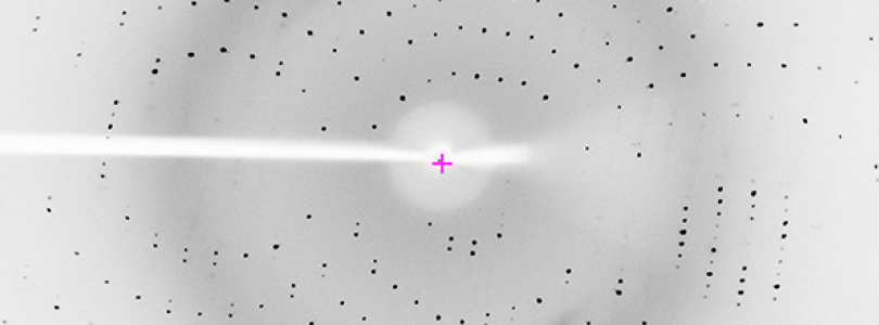 Protein crystal diffraction image