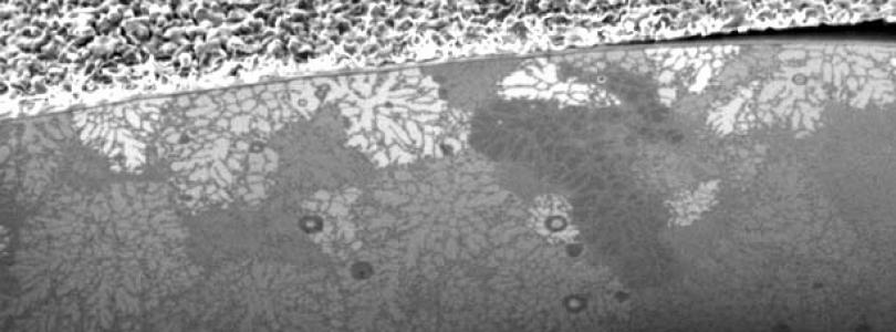 cross section of multiphase sample