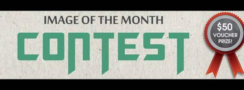 Image of the Month title picture