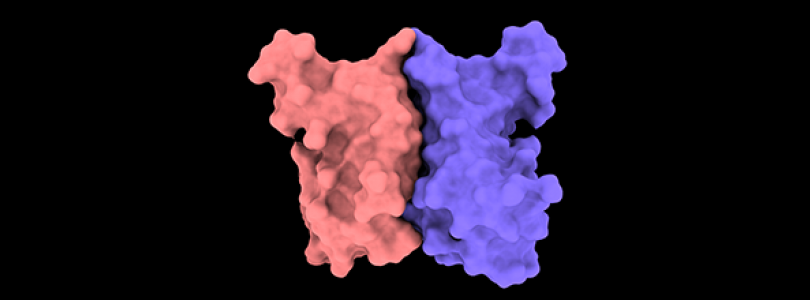 Protein structure